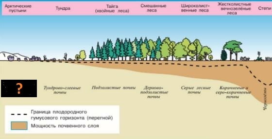 Установите соответствие природная зона характерная почва