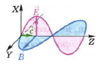 Из модели электромагнитной волны представленной на рисунке не следует что